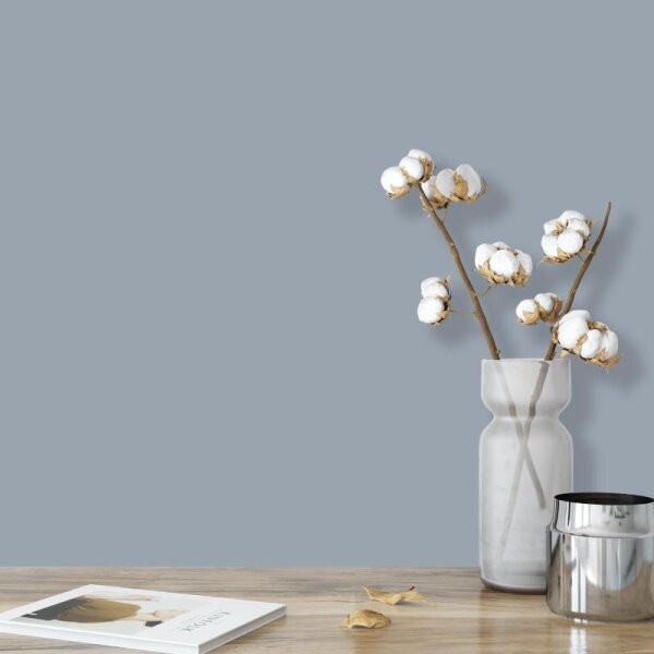 Wandfarbe Taubengrau Graublau Light 1D Wallcover Colors S 3010-B10G