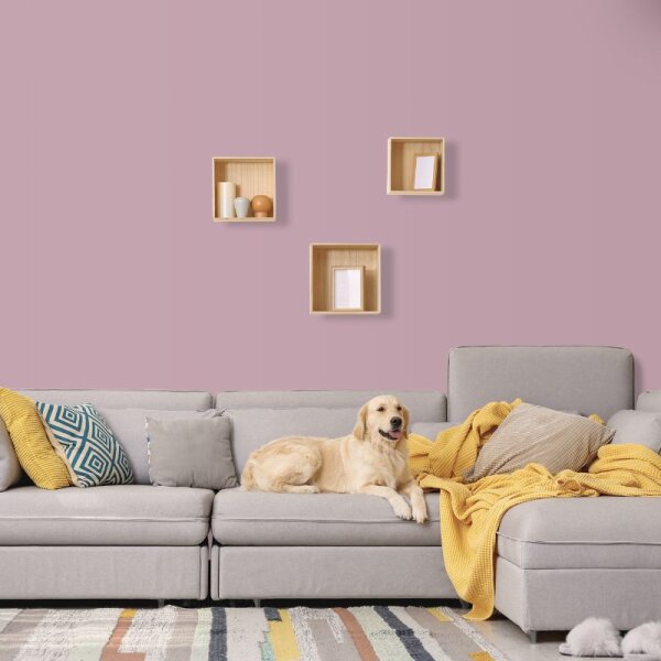 Wandfarbe Rosé Flieder English Rose 5C Wallcover Colors S 3010-R10B