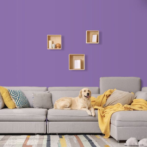 Wandfarbe Lila Violett Benguela 1E Wallcover Colors S 3040-R60B