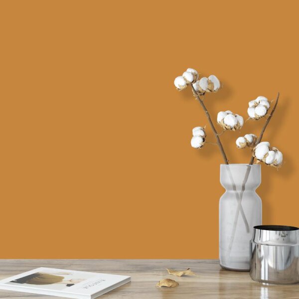 Wandfarbe Braunorange Orange-Braun Kalahari 4F Wallcover Colors S 3040-Y30R