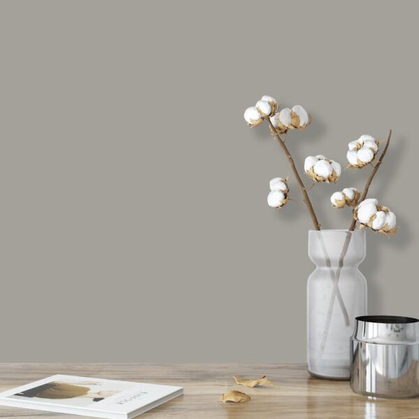 Wandfarbe Graugrün Grau-Grün Moon 3C Wallcover Colors S 3502-G50Y