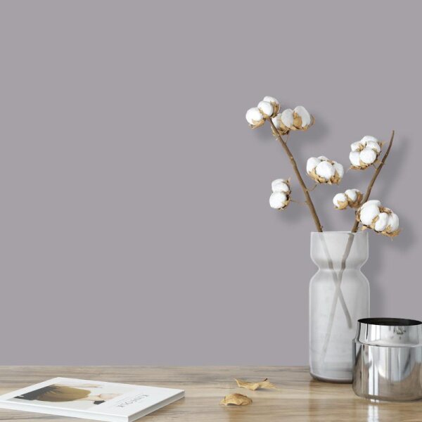 Wandfarbe Hellgrau Flieder Shadow 4C Wallcover Colors S 3502-R