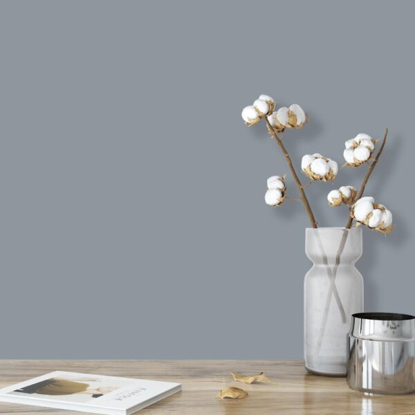 Wandfarbe Grau Moon 5C Wallcover Colors S 4005-B