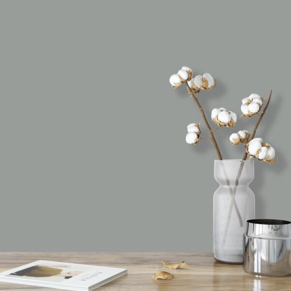 Wandfarbe Dunkelgrau Moon 4D Wallcover Colors S 4005-B80G