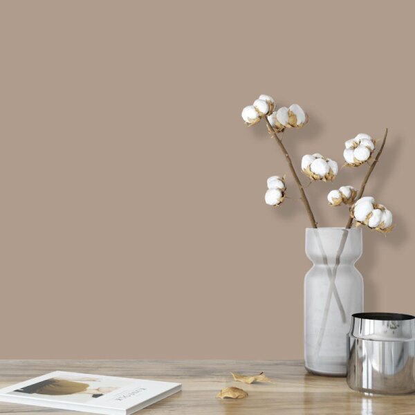 Wandfarbe Sand Hellbraun Light 6E Wallcover Colors S 4005-Y