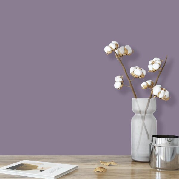 Wandfarbe Lila Violett Benguela 5F Wallcover Colors S 4020-R50B