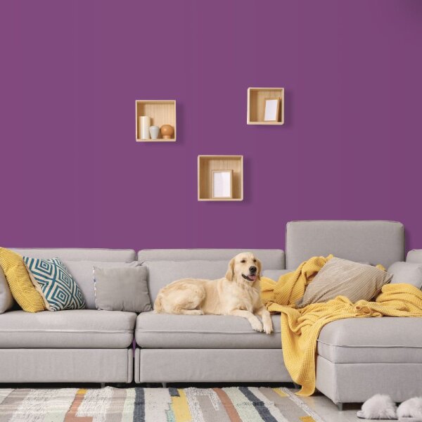Wandfarbe Lila Violett Carnaby 2F Wallcover Colors S 4040-R40B