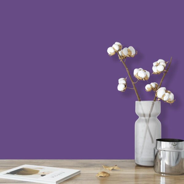 Wandfarbe Lila Violett Benguela 2F Wallcover Colors S 4040-R60B