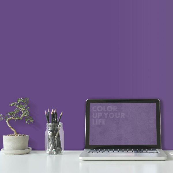 Wandfarbe Lila Violett Benguela 2F Wallcover Colors S 4040-R60B