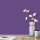 Wandfarbe Lila Violett Benguela 2F Wallcover Colors S 4040-R60B