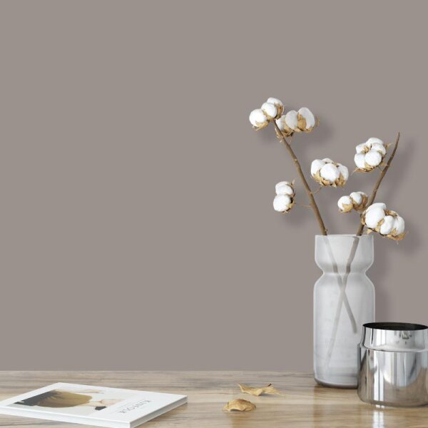 Wandfarbe Grau-Braun Shadow 5D Wallcover Colors S 4502-Y50R
