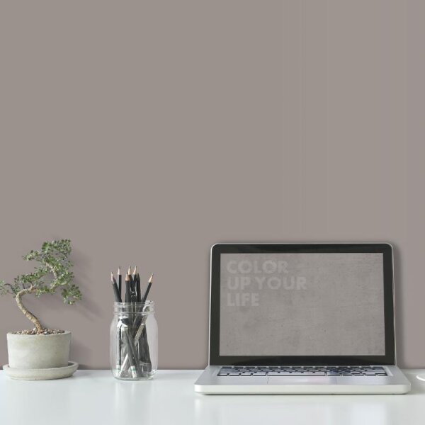 Wandfarbe Grau-Braun Shadow 5D Wallcover Colors S 4502-Y50R