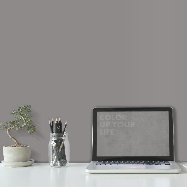 Wandfarbe Grau Moon 2E Wallcover Colors S 5000-N