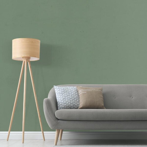 Wandfarbe Grün-Grau Kale Green Dublin 5D Wallcover Colors S 5010-G30Y