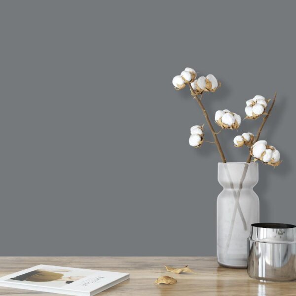 Wandfarbe Grau Moon 6B Wallcover Colors S 5502-B
