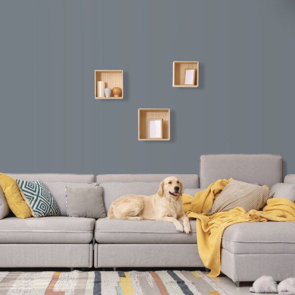 Wandfarbe Grau Moon 5D Wallcover Colors S 5502-B50G