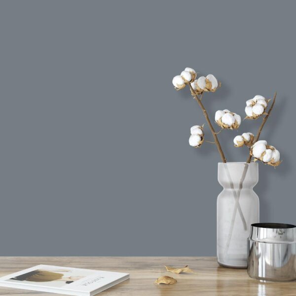 Wandfarbe Grau Moon 5D Wallcover Colors S 5502-B50G