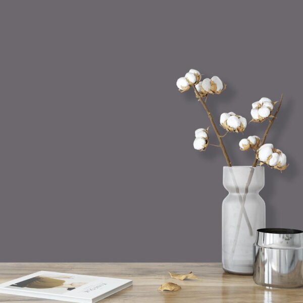 Wandfarbe Dunkelgrau Shadow 4E Wallcover Colors S 6005-R20B