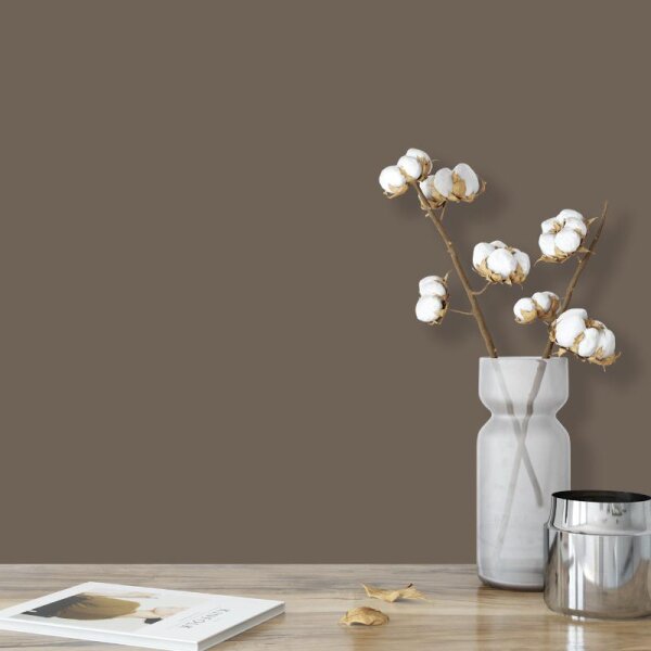 Wandfarbe Braungrau Graubraun Shadow 6E Wallcover Colors S 6010-G70Y