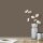 Wandfarbe Braungrau Graubraun Shadow 6E Wallcover Colors S 6010-G70Y