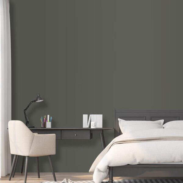 Wandfarbe Schiefergrau Dunkelgrau Shadow 2F Wallcover Colors S 7005-G50Y